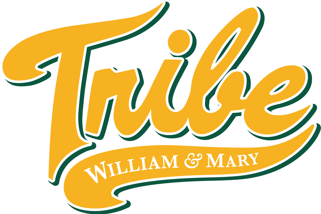 William and Mary Tribe 2016-2017 Alternate Logo v2 iron on transfers for clothing
